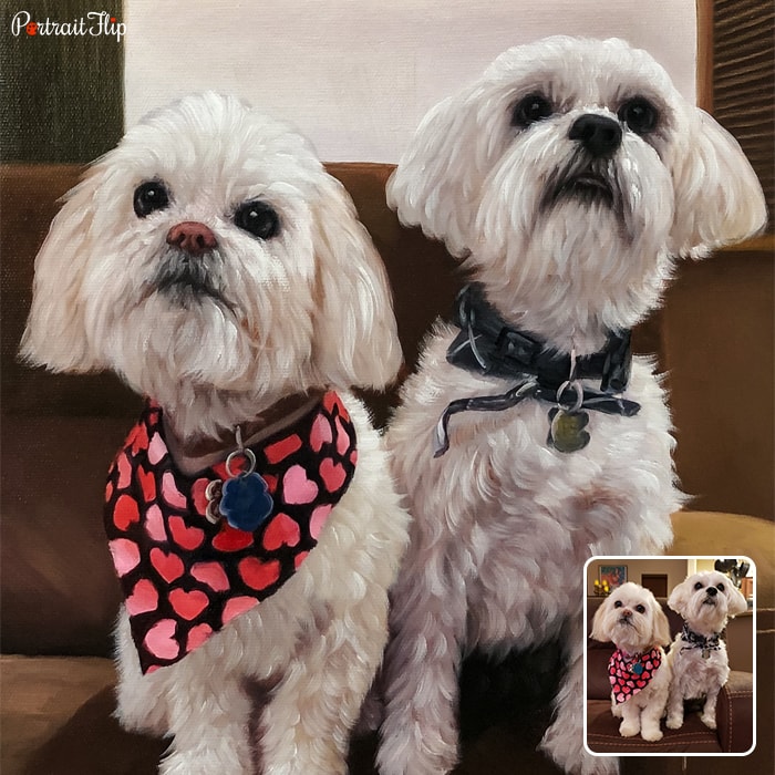 Pet portraits of two puppies who are standing next to each other on a sofa