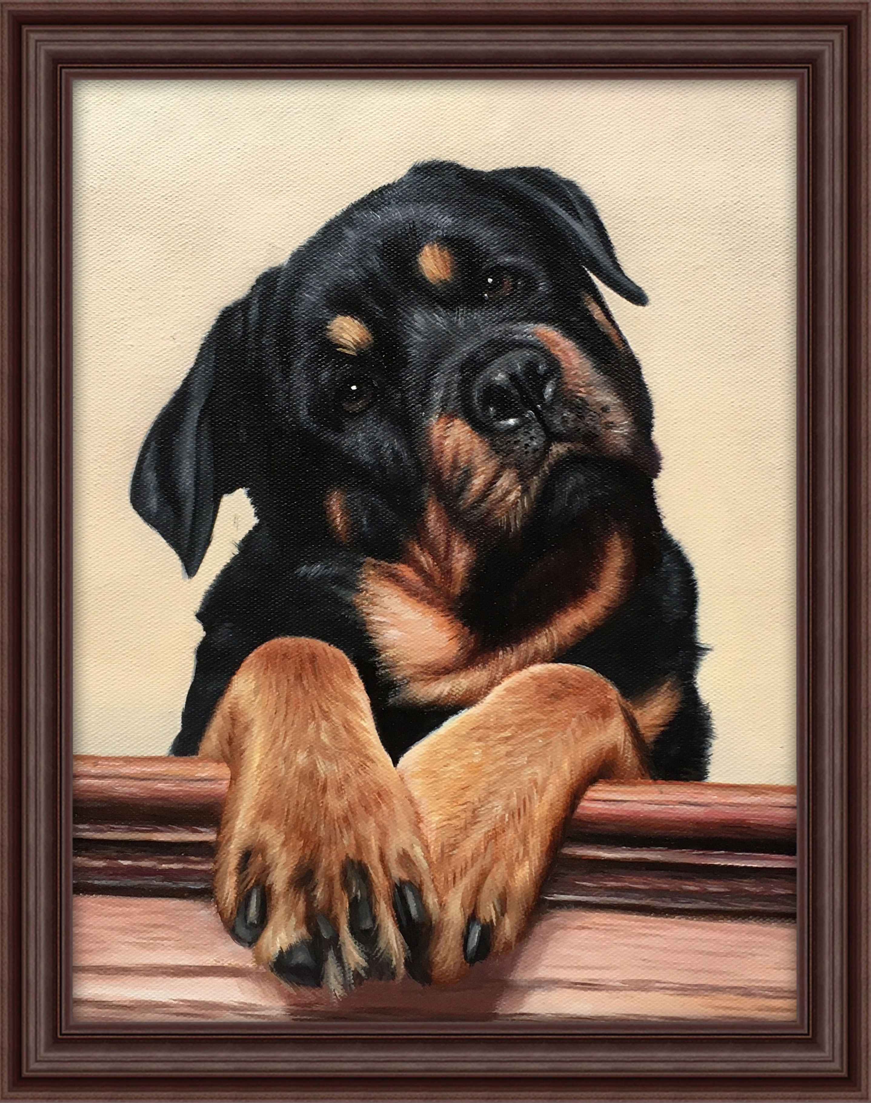 Coffee Brown Frame